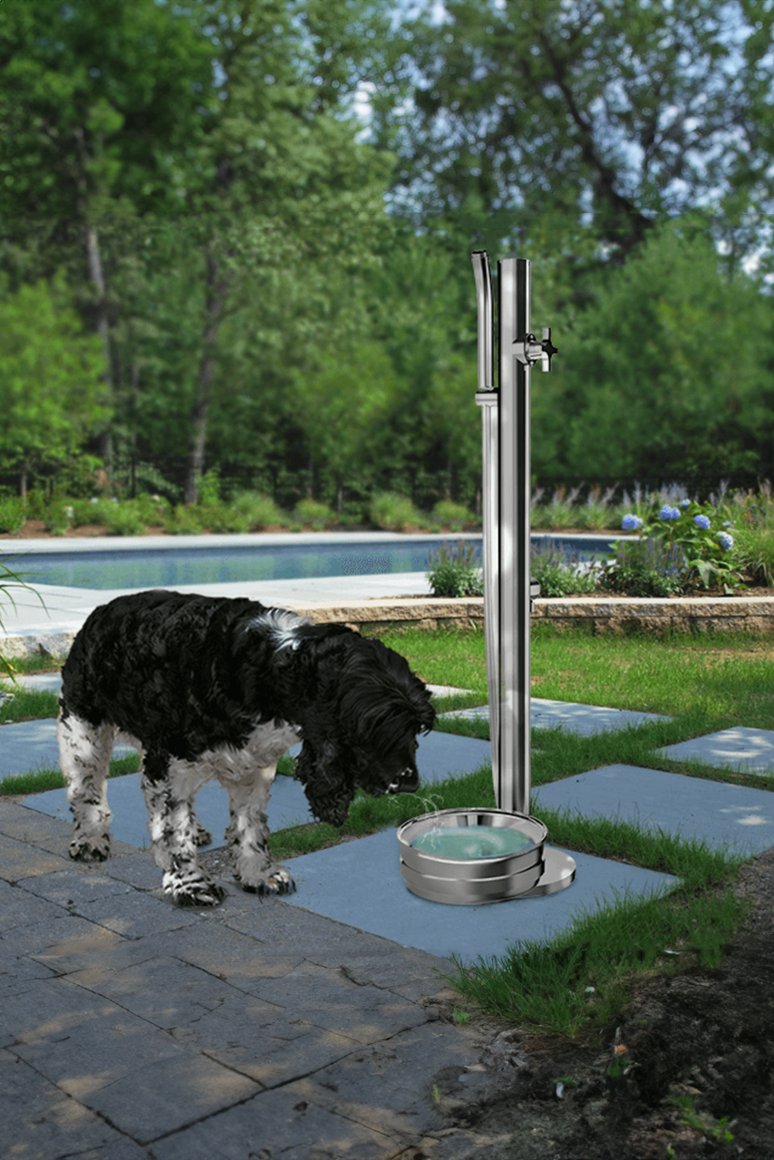 Gartendusche für Hunde mit Wassernapf
